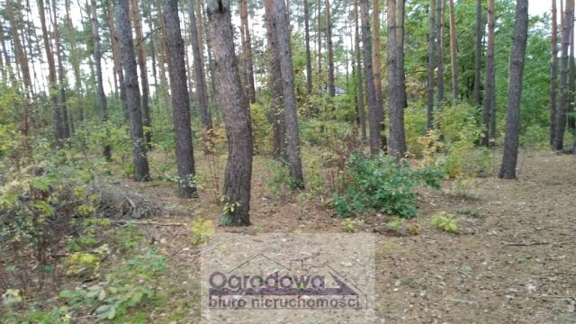 Działka budowlana Wilcza Góra. Zdjęcie 2