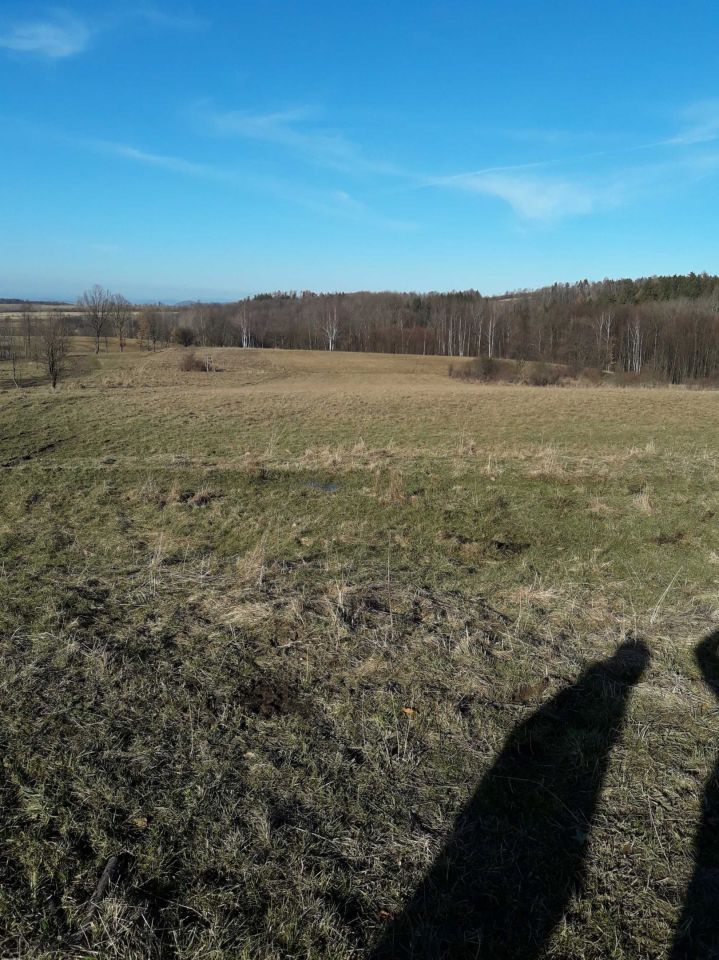 Działka rolna Wilkanów. Zdjęcie 6