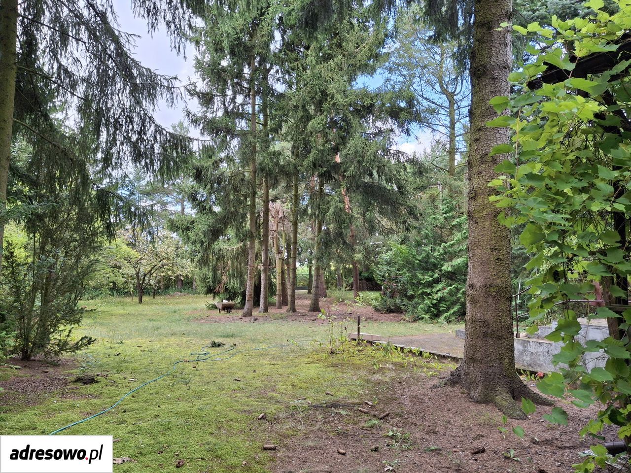 Działka rekreacyjna Burlaki Holendry. Zdjęcie 9