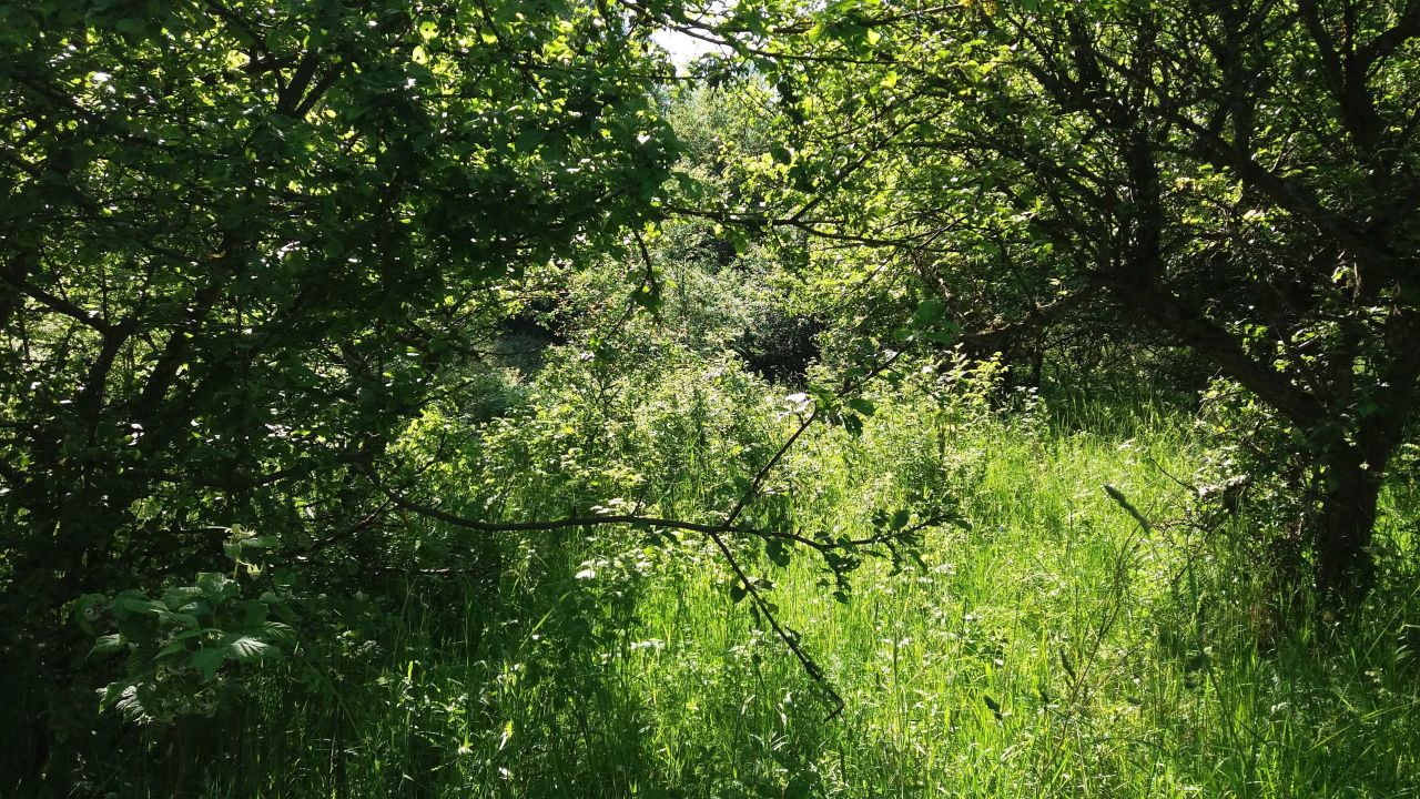 Działka budowlana Spręcowo. Zdjęcie 4