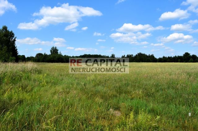Działka rolna Zalesie. Zdjęcie 1