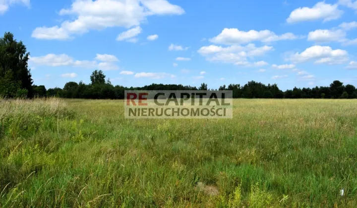 Działka rolna Zalesie