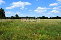 Działka rolna Zalesie