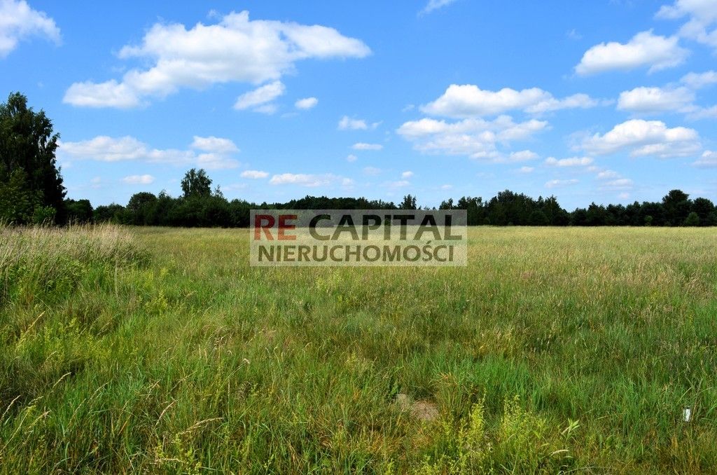 Działka rolna Zalesie