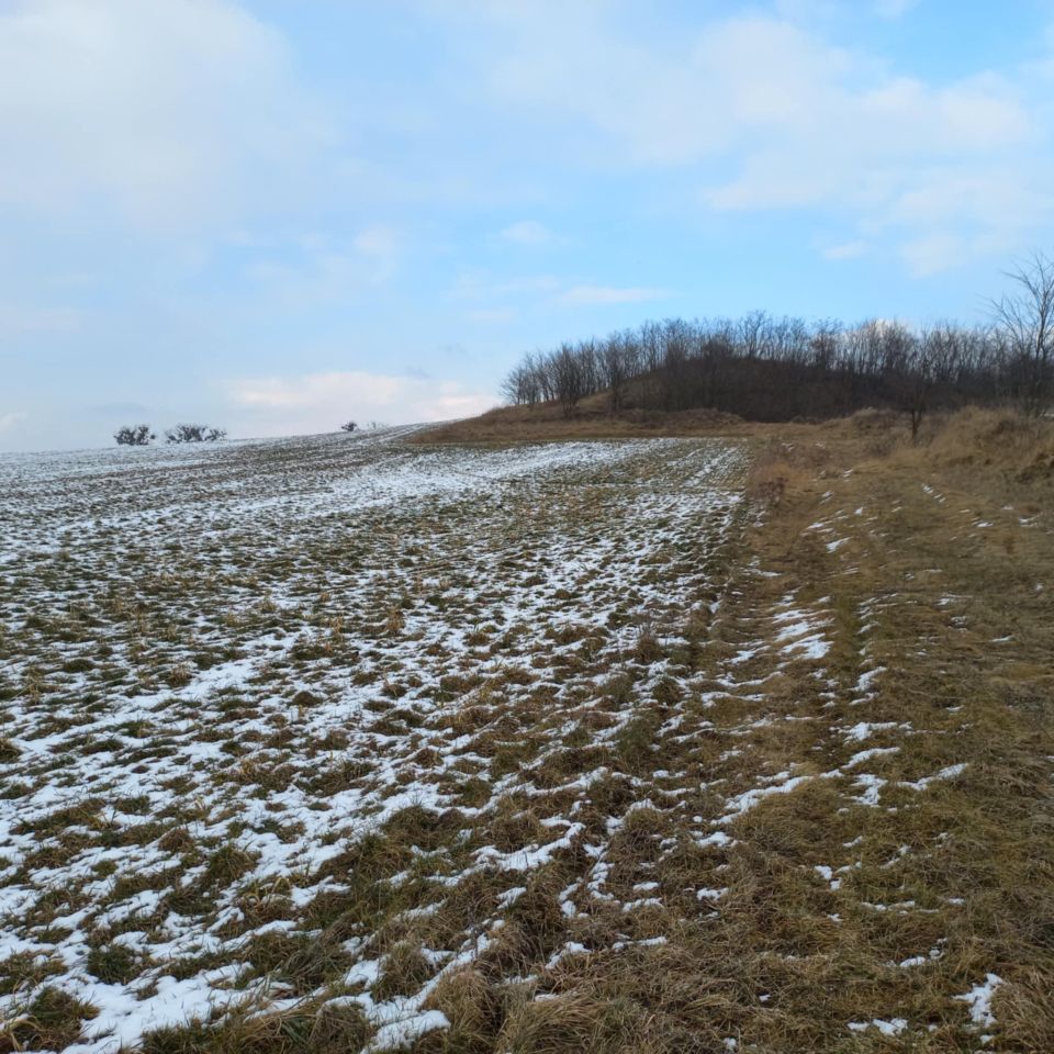 Działka inwestycyjna Kryniczno. Zdjęcie 7