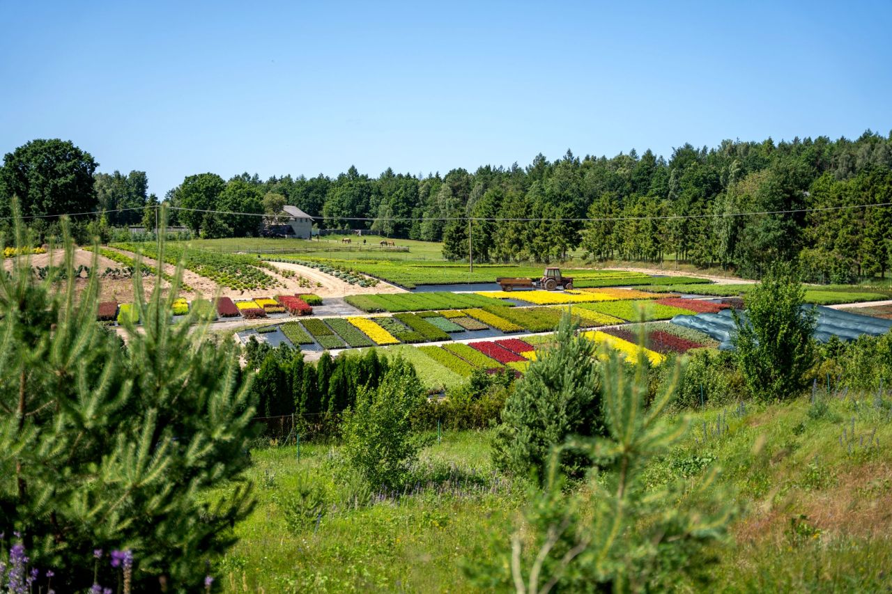 Działka rolno-budowlana Garcz, ul. Widokowa. Zdjęcie 11