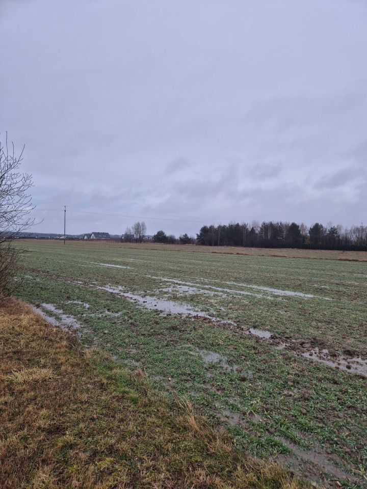 Działka budowlana Michałów, ul. Fiołkowa. Zdjęcie 2