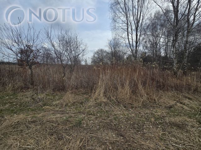 Działka budowlana Jastrzębnik. Zdjęcie 10