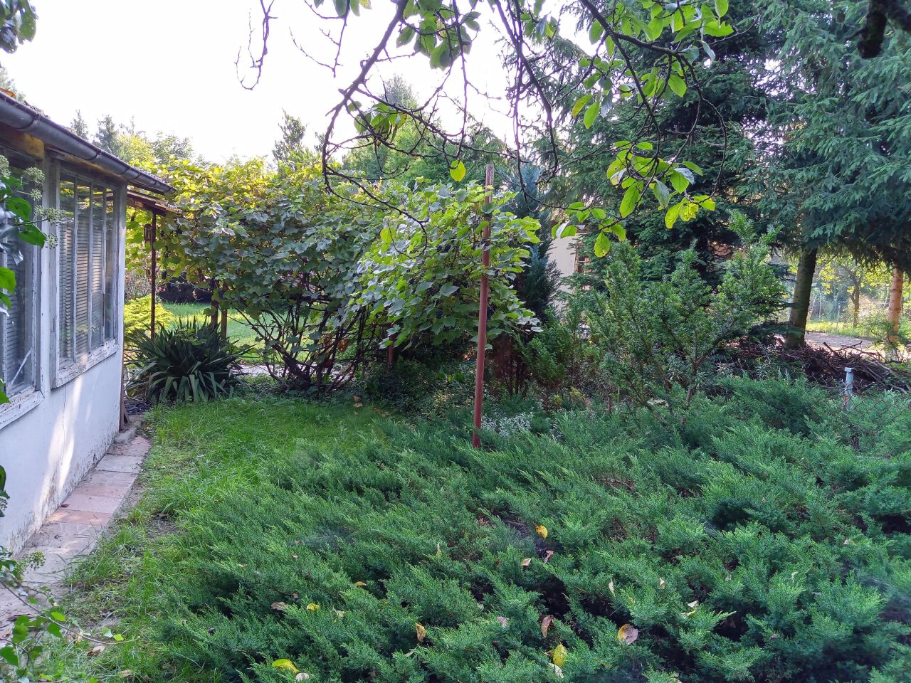 Działka rod Łódź Polesie, ul. Biegunowa. Zdjęcie 15