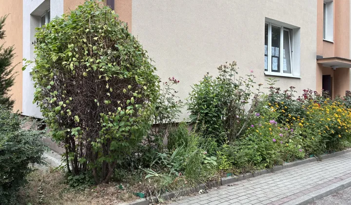 Mieszkanie 3-pokojowe Rzeszów Śródmieście, ul. Marii Skłodowskiej-Curie