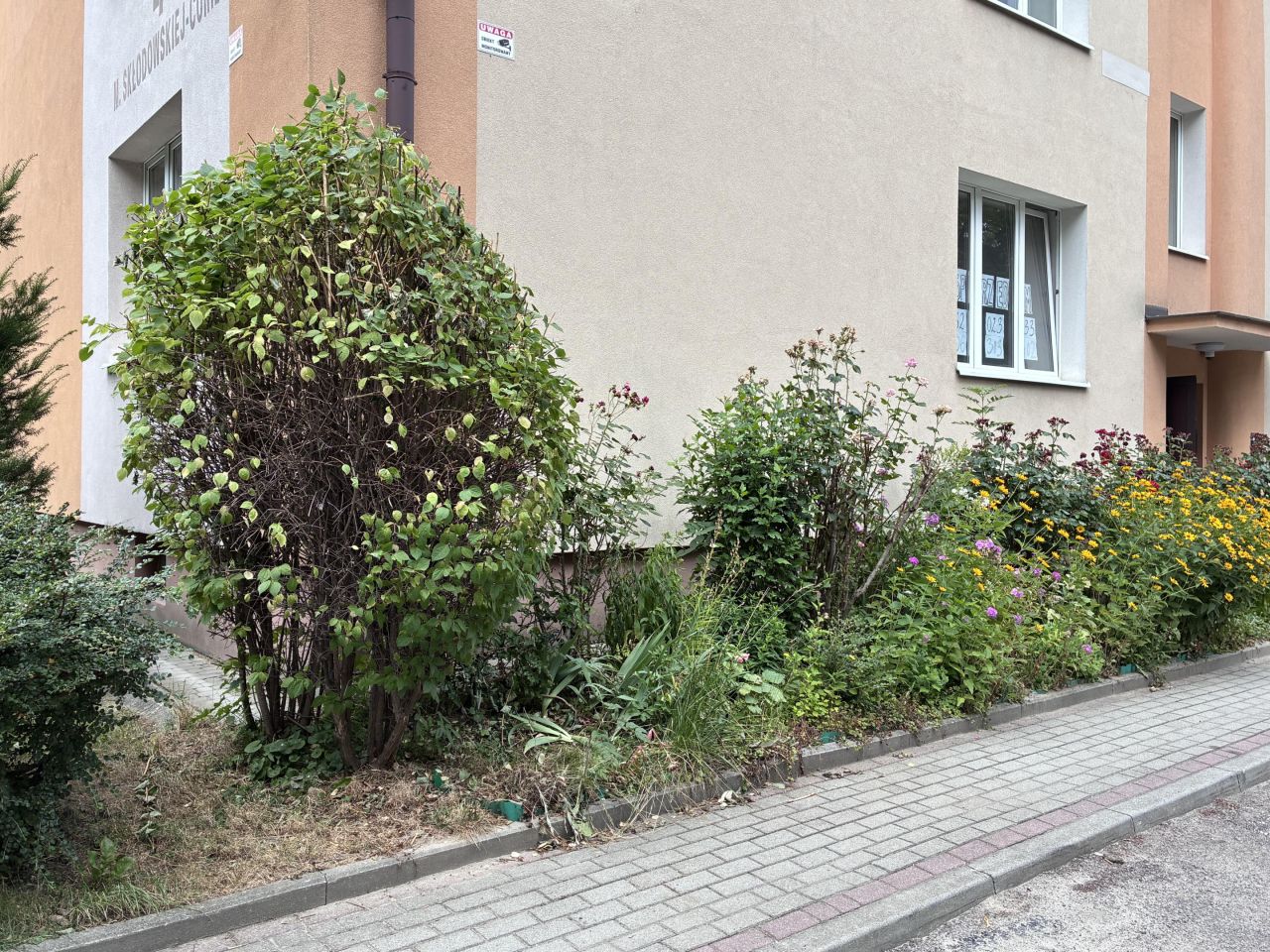 Mieszkanie 3-pokojowe Rzeszów Śródmieście, ul. Marii Skłodowskiej-Curie. Zdjęcie 1