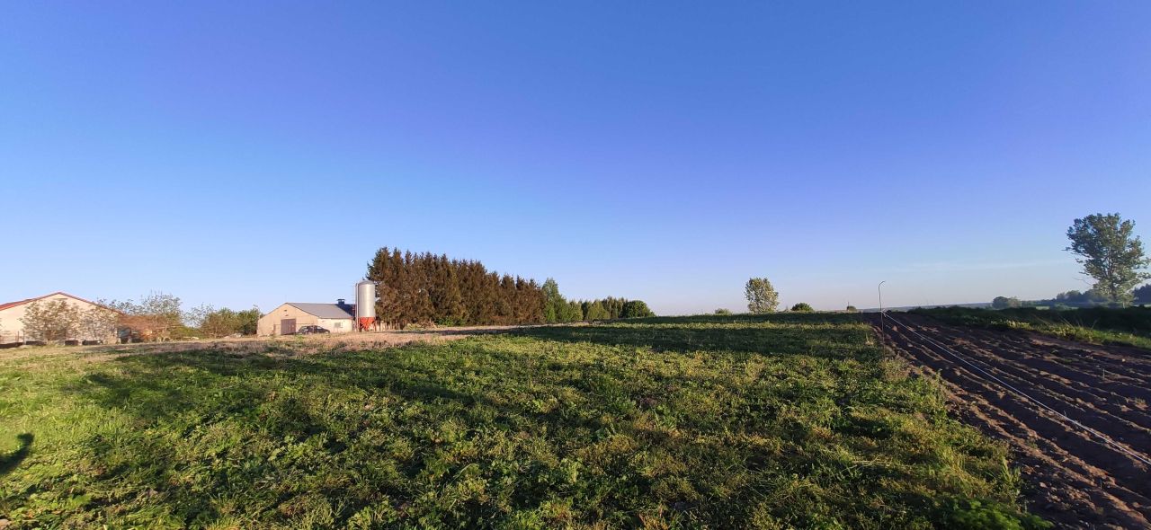 Działka budowlana Lewałd Wielki. Zdjęcie 7