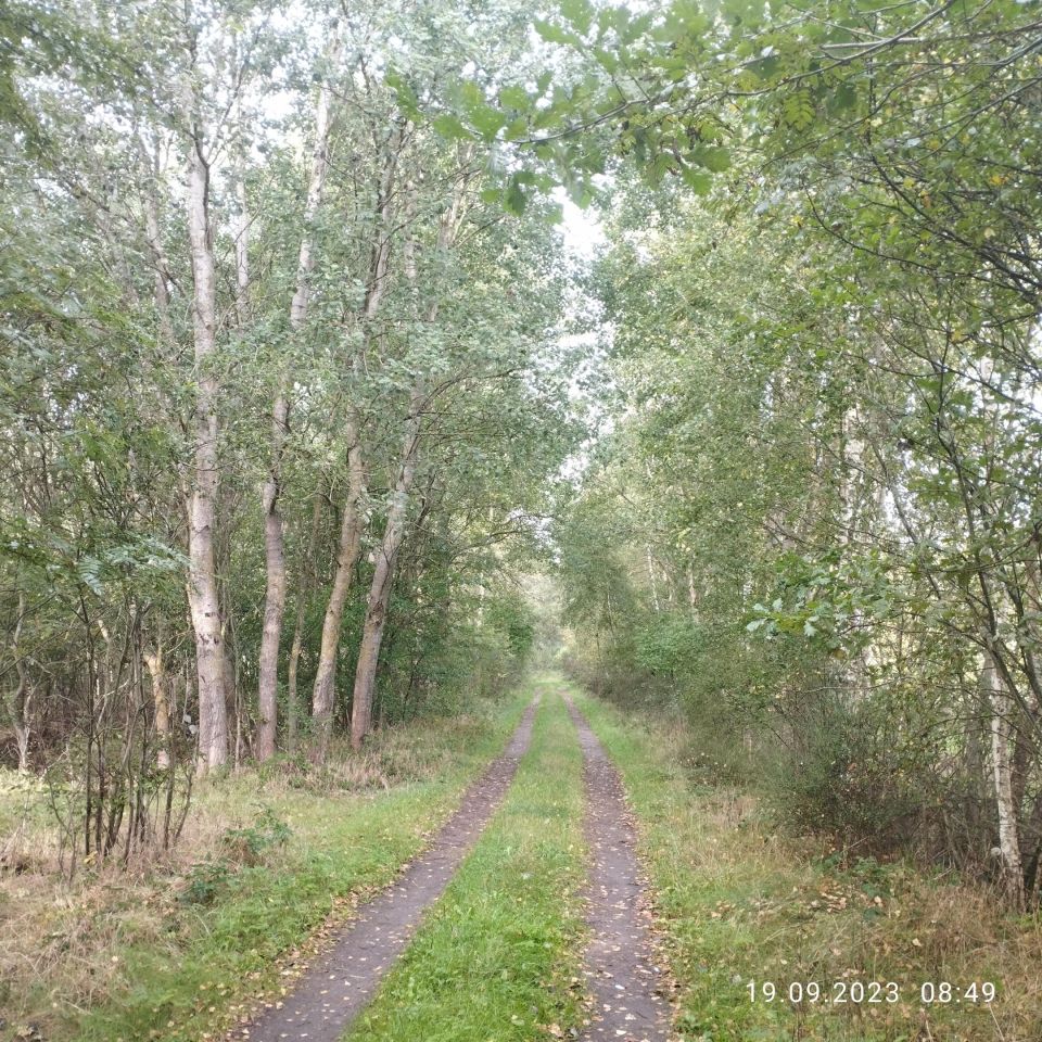 Działka rolna Ostrowo. Zdjęcie 16
