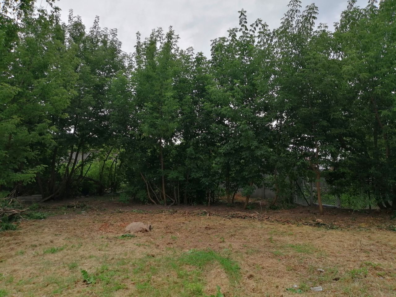 Działka budowlana Sochaczew, ul. Torowa. Zdjęcie 3