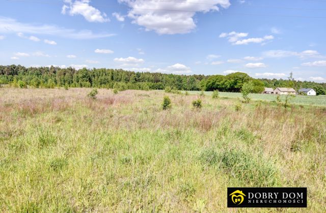 Działka budowlana Białowieża. Zdjęcie 4