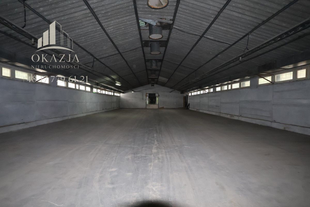 Lokal Wysoka Głogowska. Zdjęcie 6