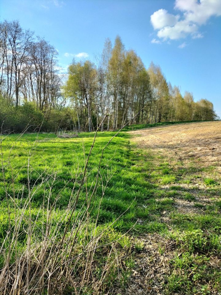 Działka rolna Kościejów, droga po działce 682. Zdjęcie 6