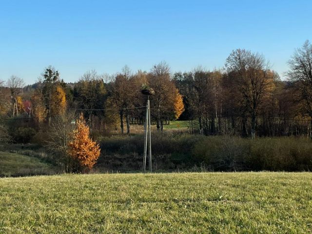 Działka budowlana Talki. Zdjęcie 15