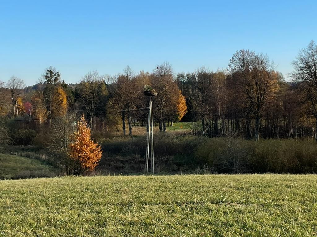 Działka budowlana Talki. Zdjęcie 15