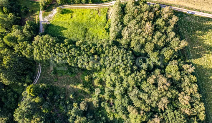 Działka rolna Nowy Borek