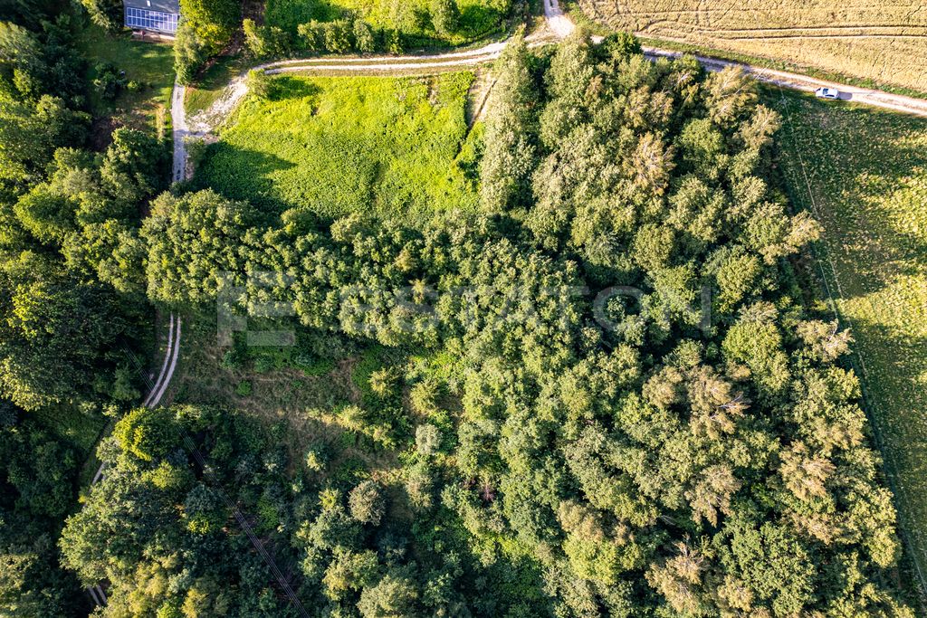 Działka rolna Nowy Borek. Zdjęcie 12