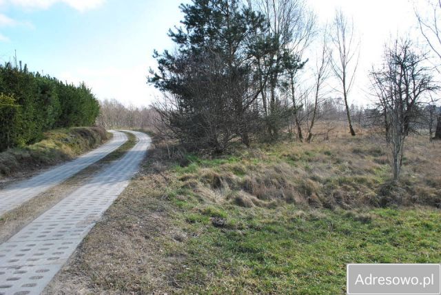 Działka rolno-budowlana Bietowo. Zdjęcie 1