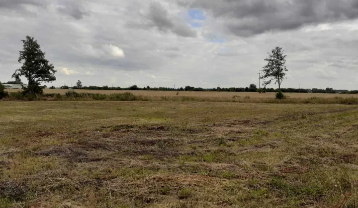 Działka budowlana Mieścisko, ul. Kalinowa