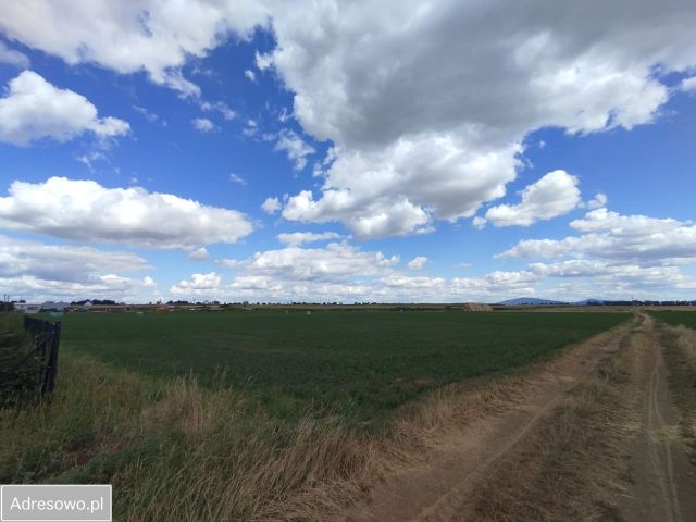 Działka budowlana Witków. Zdjęcie 1