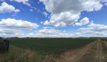 Działka budowlana Witków