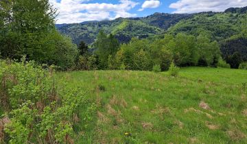 Działka budowlana Piwniczna-Zdrój