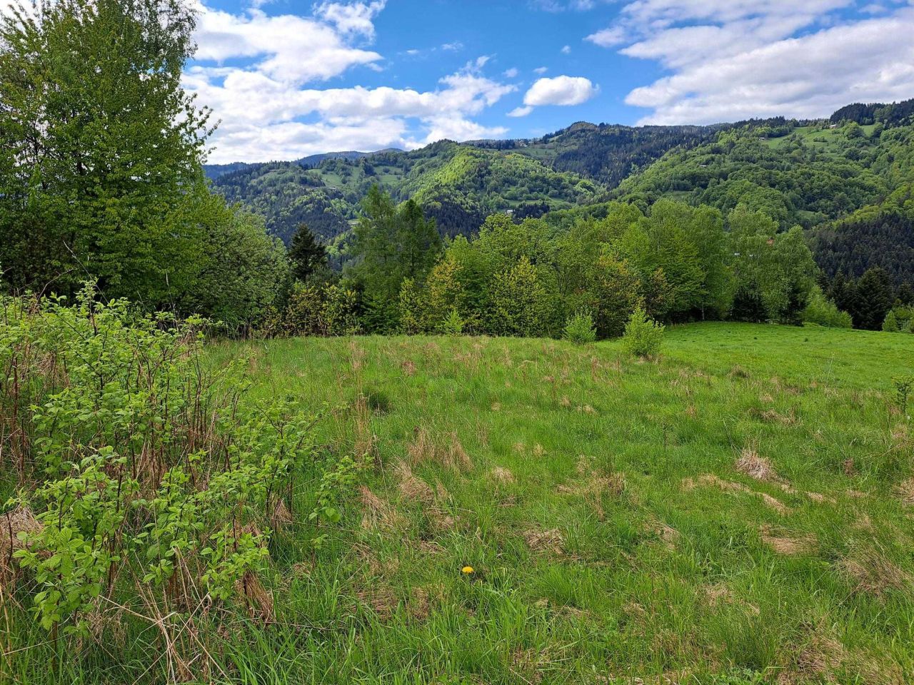 Działka budowlana Piwniczna-Zdrój. Zdjęcie 2