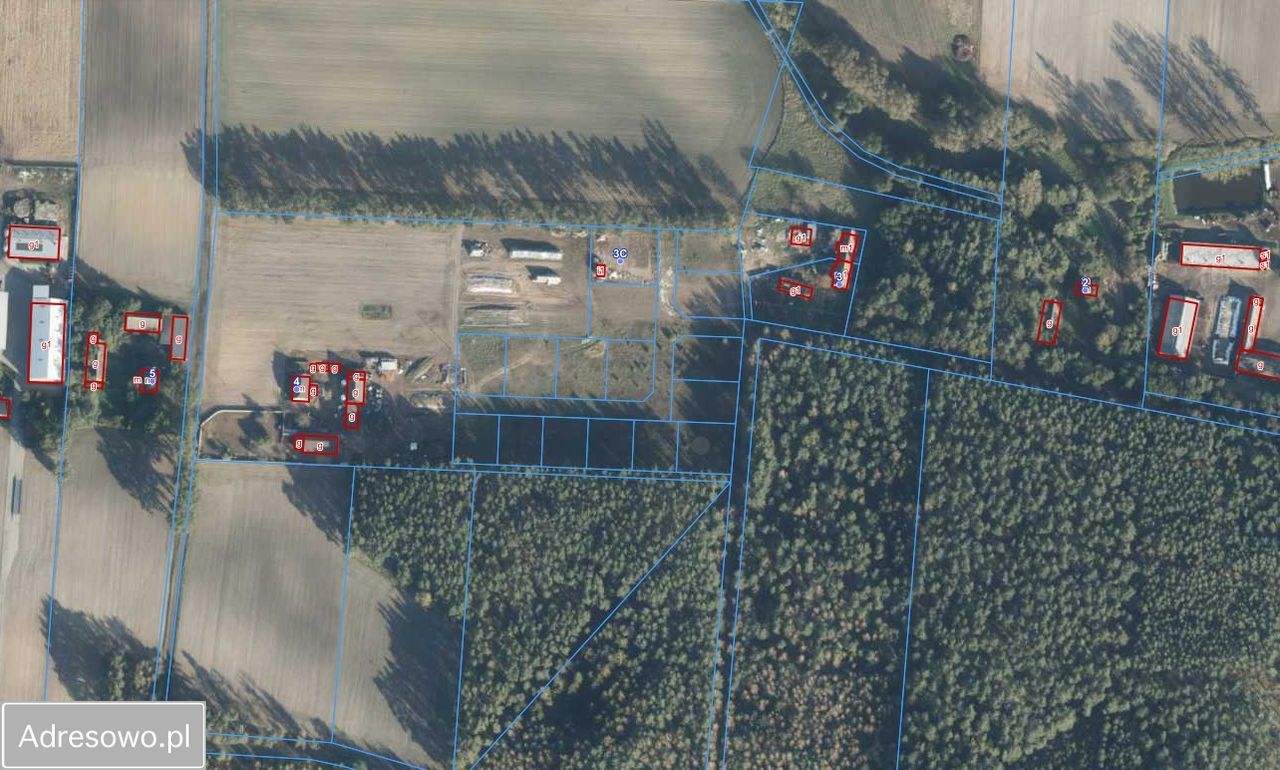 Działka rolno-budowlana Murzynowo Leśne. Zdjęcie 2