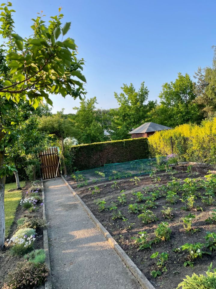 Działka rod Szczecin Śródmieście, ul. Tenisowa. Zdjęcie 8