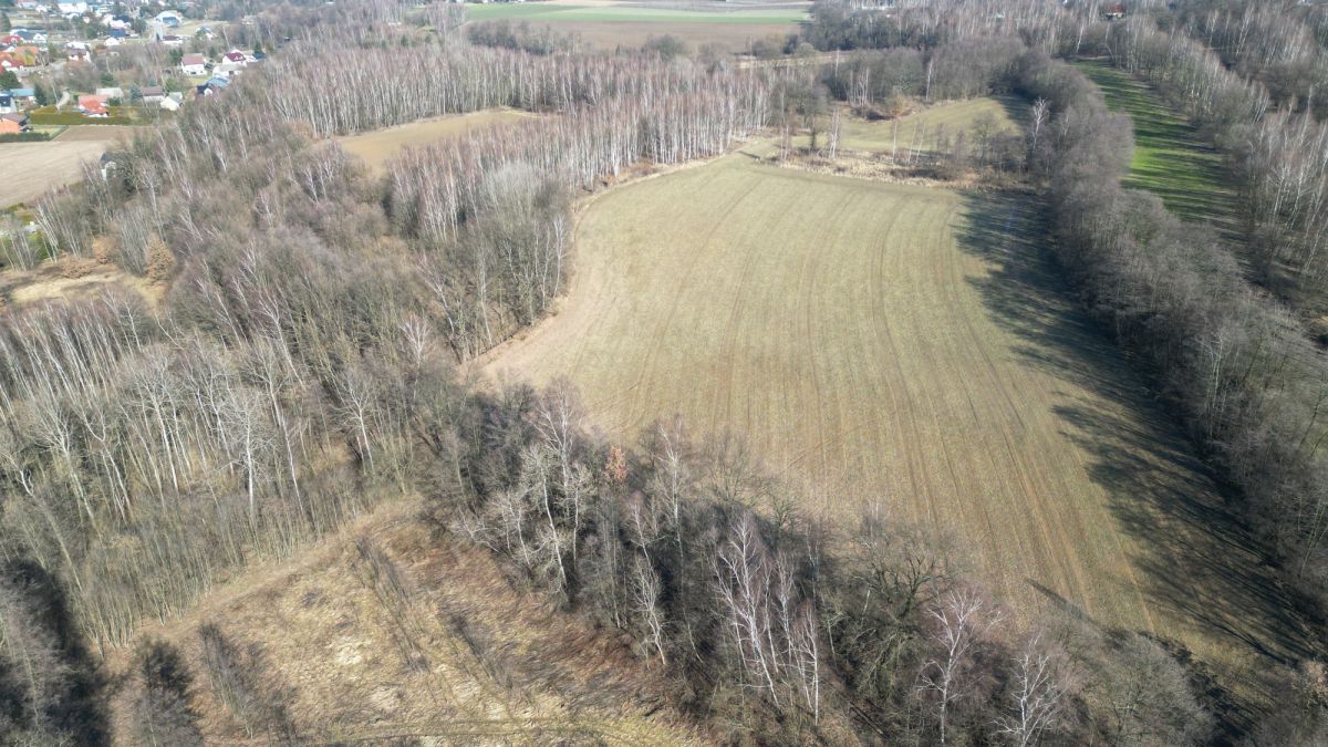 Działka inwestycyjna Zakrzów. Zdjęcie 3