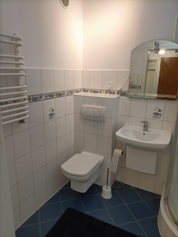 Mieszkanie 2-pokojowe Wrocław Fabryczna, ul. Kozia. Zdjęcie 8