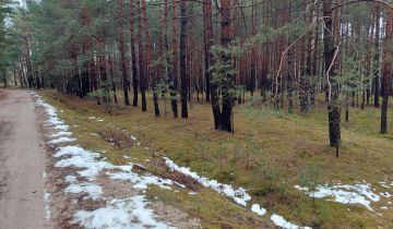 Działka leśna Stobnica Trzy Morgi
