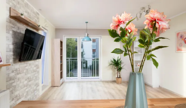 Mieszkanie 3-pokojowe Poznań Winogrady, ul. Hawelańska