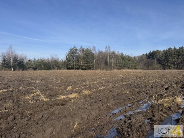 Działka rolno-budowlana Smyków. Zdjęcie 7