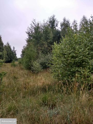 Działka rekreacyjna Nowa Jedlanka. Zdjęcie 1