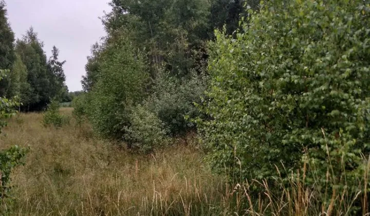 Działka rekreacyjna Nowa Jedlanka