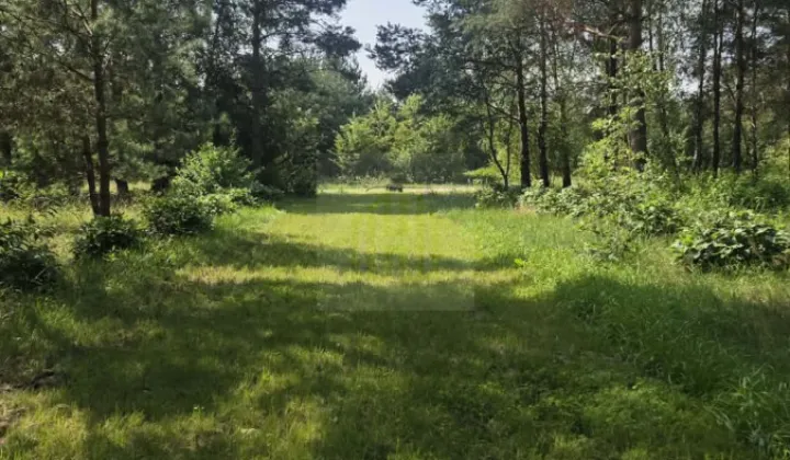 Działka budowlana Bartoszówka