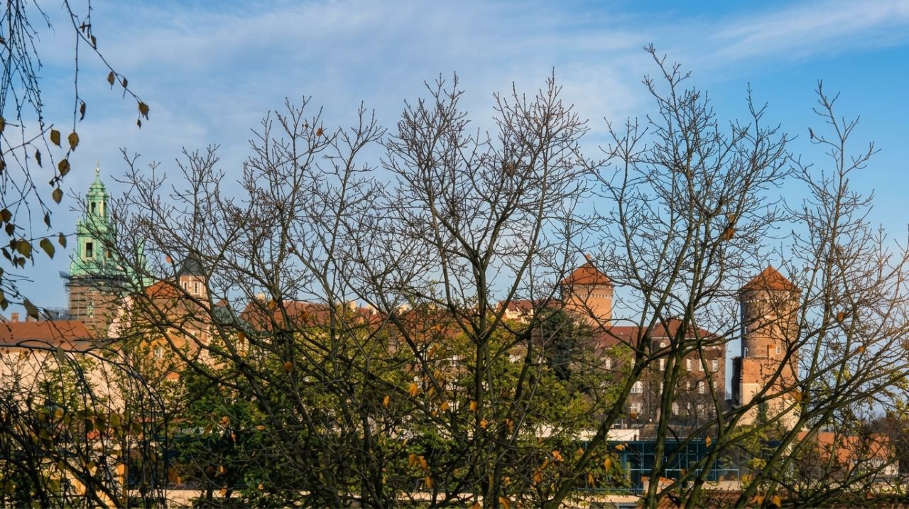 Mieszkanie 1-pokojowe Kraków Dębniki, ul. Kazimierza Pułaskiego. Zdjęcie 2