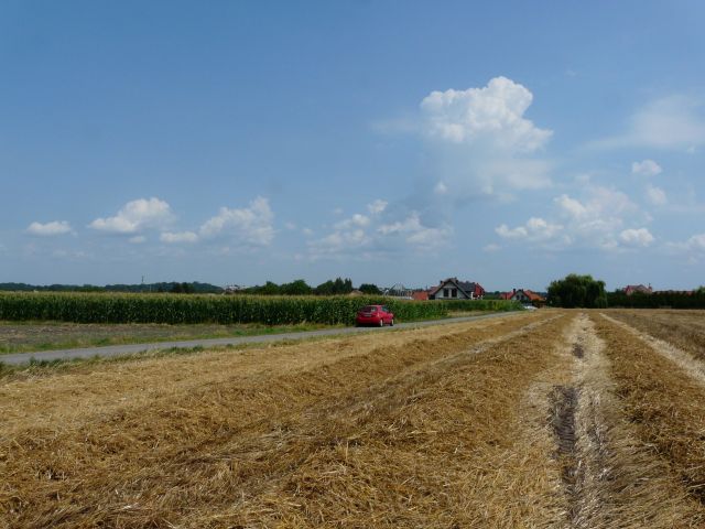 Działka rolno-budowlana Studzian. Zdjęcie 1