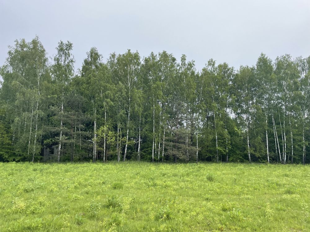 Działka budowlana Borowa, ul. Główna