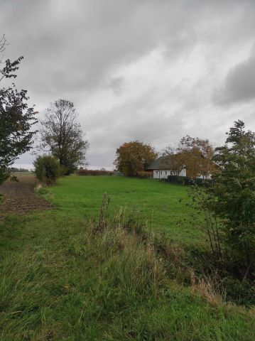 Działka rolno-budowlana Bukowina. Zdjęcie 1