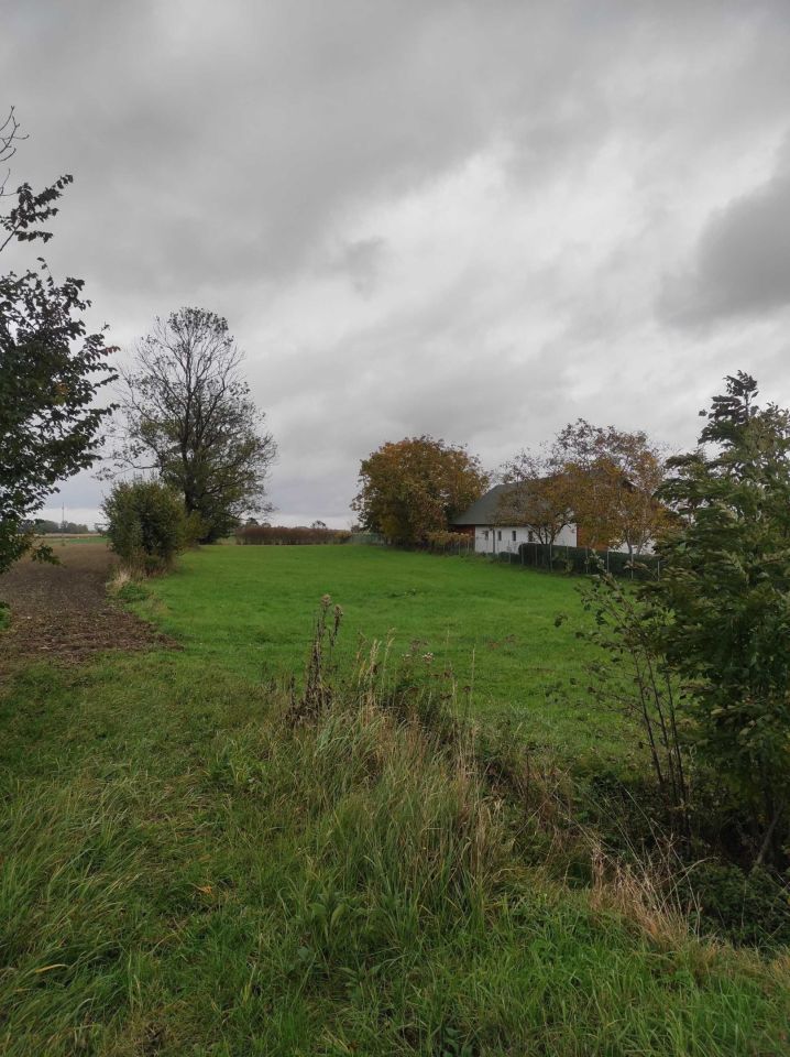 Działka rolno-budowlana Bukowina