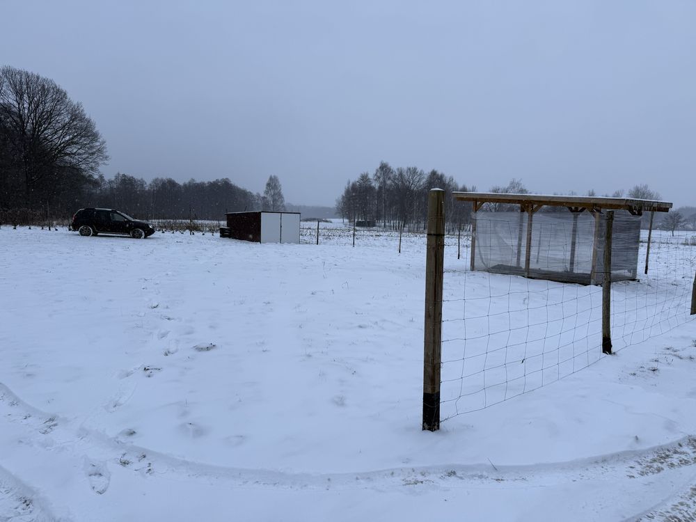 Działka budowlana Dąbrowa Szlachecka. Zdjęcie 1