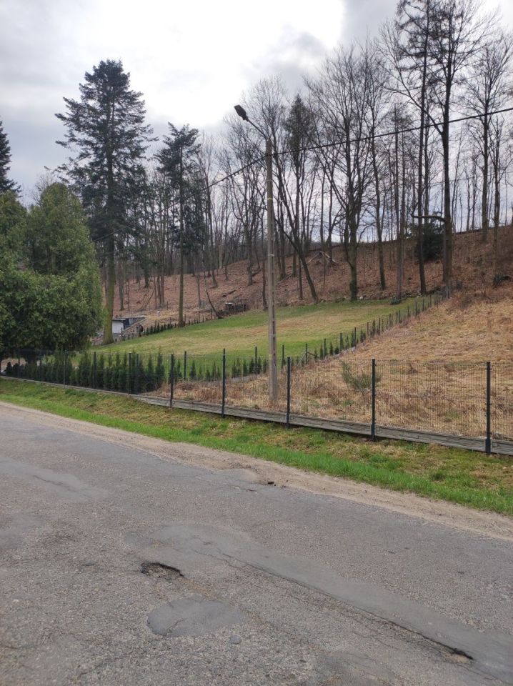 Działka budowlana Jarnołtówek. Zdjęcie 2
