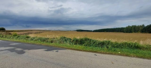 Działka budowlana Piątnica Poduchowna, ul. Stawiskowska. Zdjęcie 1