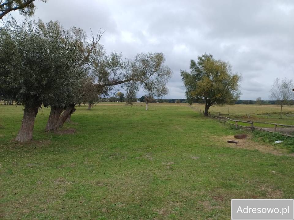 Działka rolno-budowlana Strych. Zdjęcie 7
